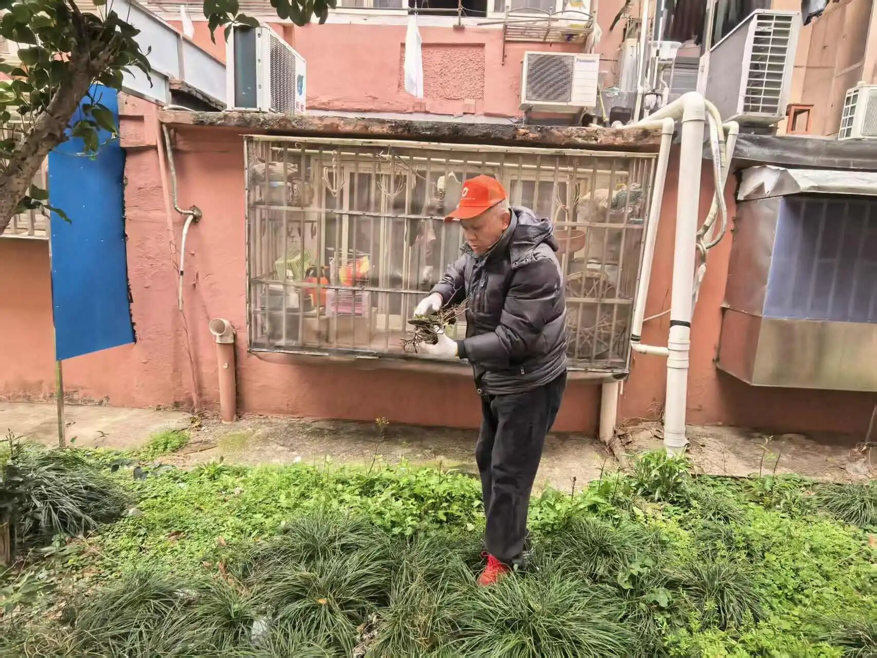 春风暖民心，志愿践初心！共和新路街道开展3•5学雷锋主题志愿服务活动