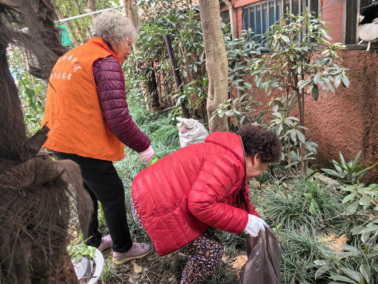 春风暖民心，志愿践初心！共和新路街道开展3•5学雷锋主题志愿服务活动