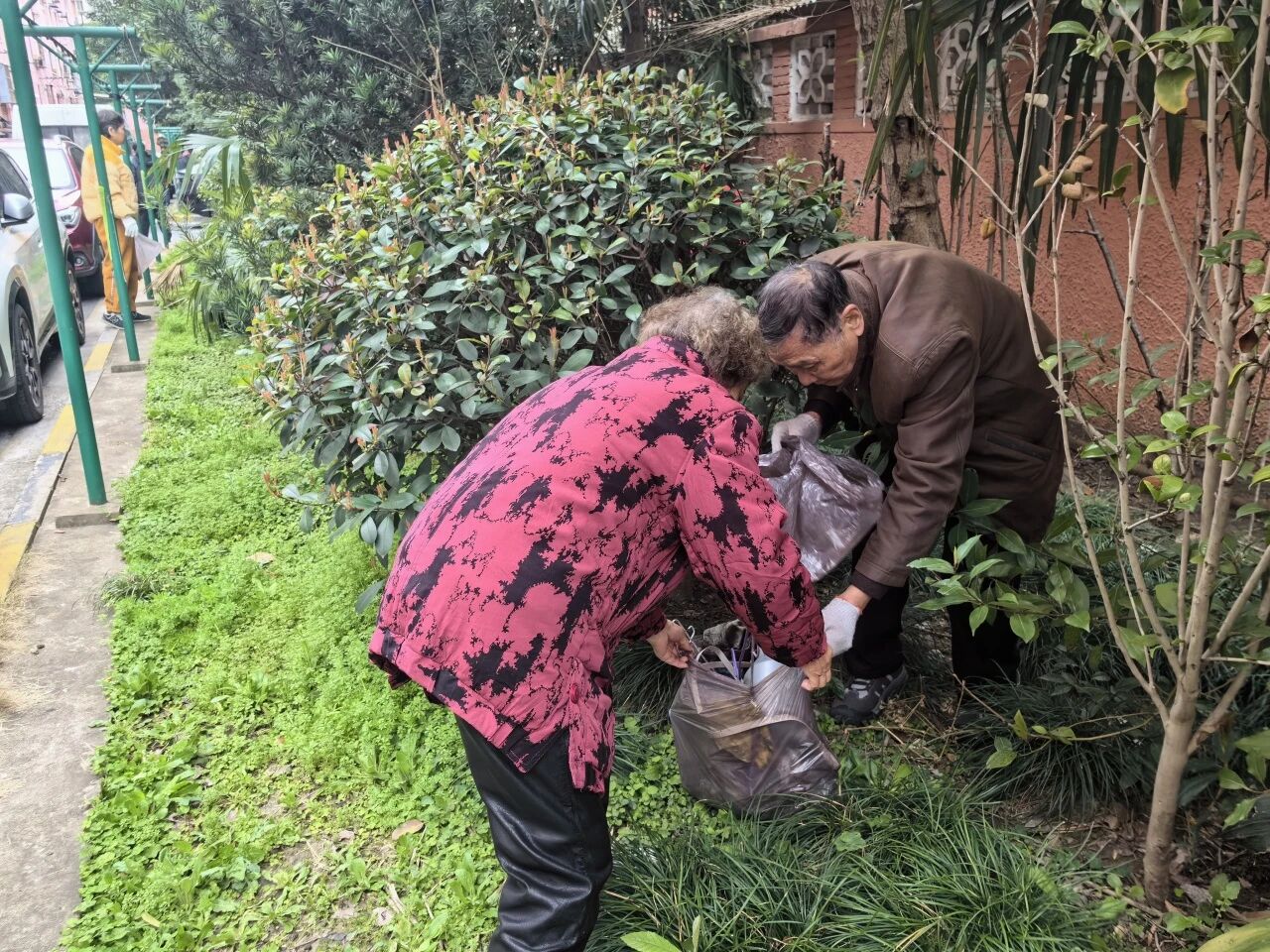 春风暖民心，志愿践初心！共和新路街道开展3•5学雷锋主题志愿服务活动