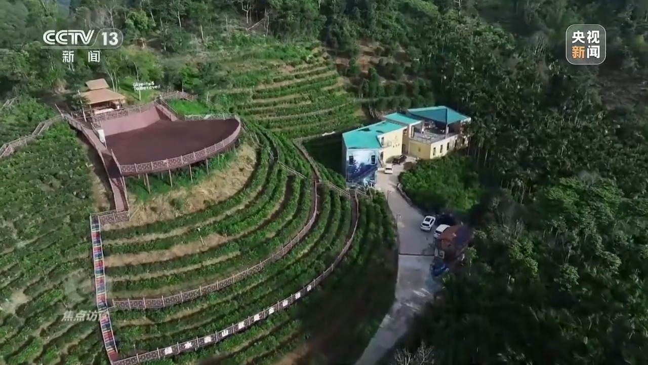焦点访谈丨“为一场比赛，奔赴一座城” 赛事如何成为带动发展的“经济引擎”？