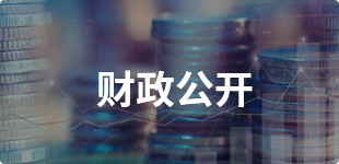 财政公开