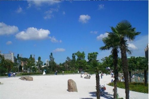 大宁郁金香公园