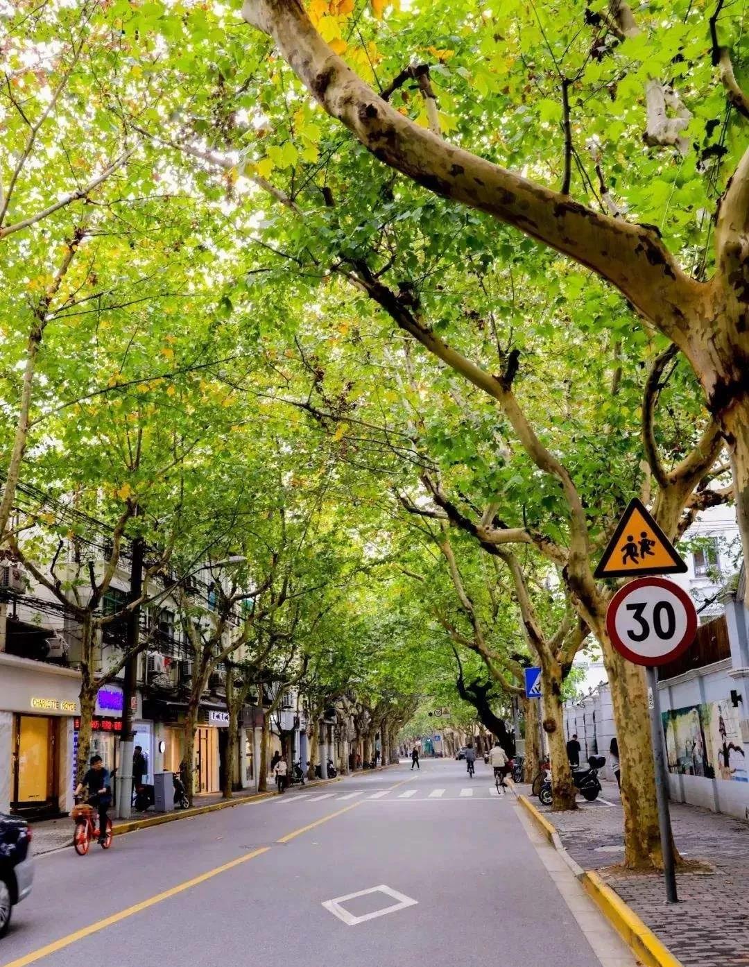 巨鹿路